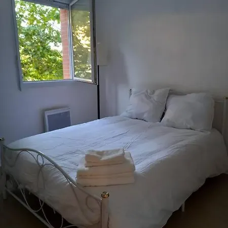 Appartement Cosy Cugnaux Exterior photo