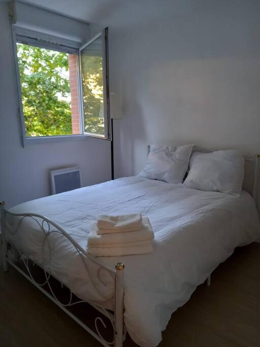 Apartment Cosy Cugnaux